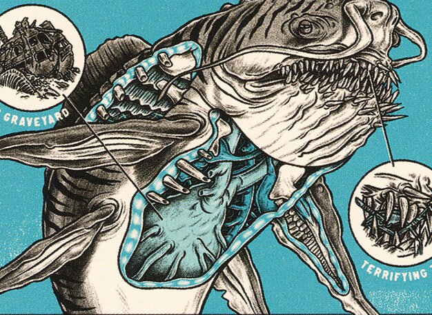 Secret Lair: Monster Anatomy 101 // Secret Lair deck list
