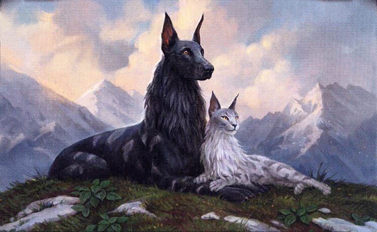 Cat Dog - Commander (Rin and Seri, Inseparable) — Moxfield, a deck building website for Magic