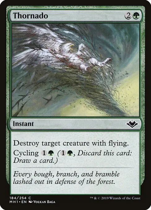 mtg forecast cards un-forecast Card Tag Scryfall Tagger Forecast - MTG Keywords Explained