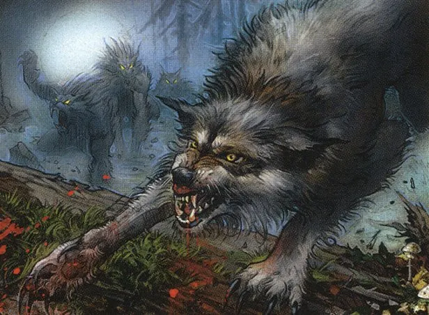 Werewolves of Innistrad | Immerwolf - Pauper EDH