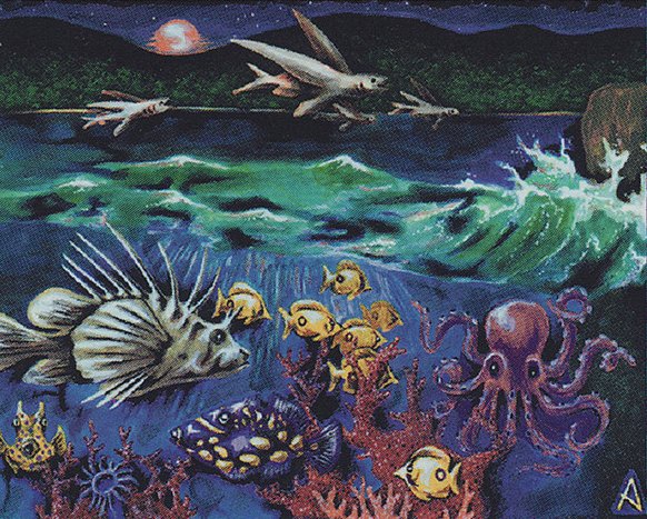 匿名配送】MTG「パウパーhigh Tideパーツ」 パウパー