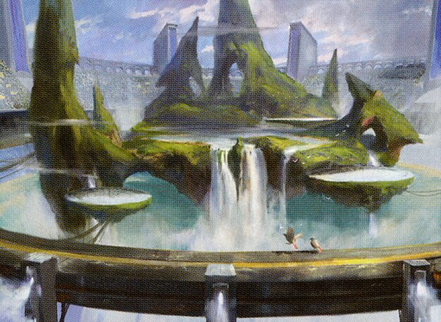 Wizardz Field Wizardz - Modern