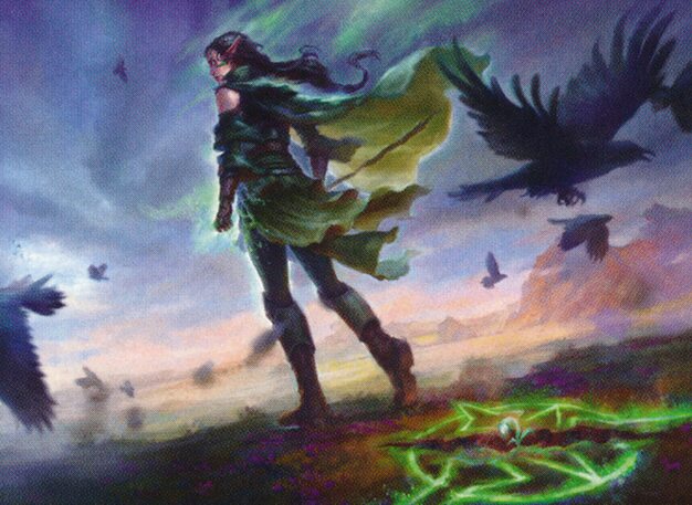 pako - Commander (Pako, Arcane Retriever / Haldan, Avid Arcanist ...