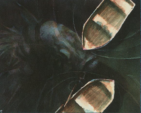 Forgetful Fish // Dandân // Dandan deck list mtg // Moxfield