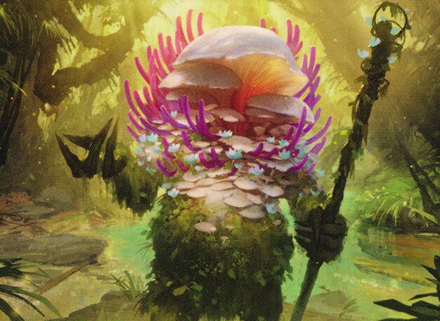 Magic: The Gathering – Thelon Of Havenwood – Time Spiral (Rare) – Einzelkarte Aus Dem Beliebten TCG-Set