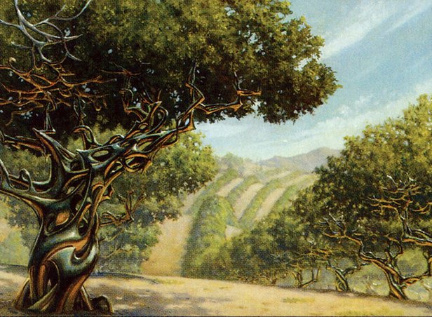 Exotic Orchard // Moxfield — MTG Deck Builder