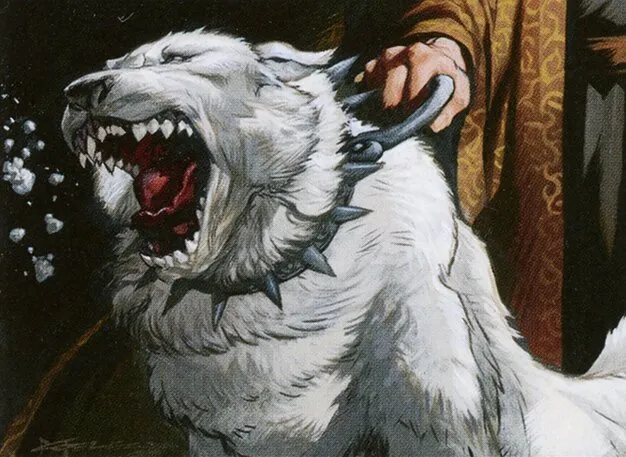 mtg scry 2 draw a card Tolsimir Wolfblood Retro - RVR main image 1