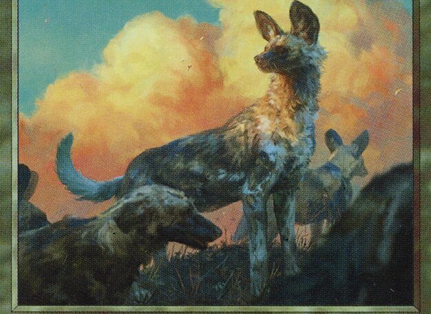 The Wild Dogs Judge's Tower - None