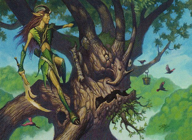 Don T Be Hastey Commander Fangorn Tree Shepherd