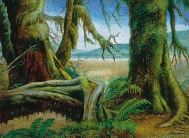 MTG 友好フェッチランド 5種セット