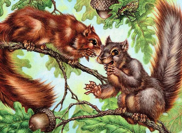 We Hope You Like Squirrels | Secret Lair