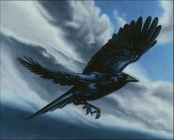 Shadow Bird User 🐦🦦Shadow Bird Otter Gang🦦🐦 - Commander (Derevi, Empyrial Tactician)