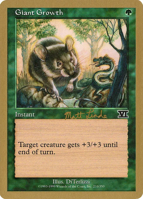 Matt Linde, Semifinalist (World Championship Decks 1999