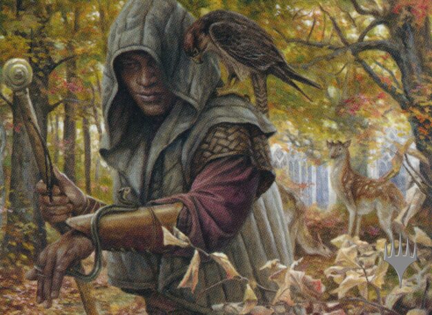 mtg golgari card draw Greater Good [Battlebond] you gain 1 life and draw a card Best Golgari Cards of 2024