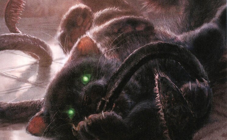 Displacer Kitten // Moxfield — MTG Deck Builder