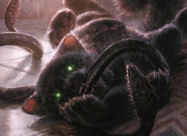 Poor Displacer Kitten // Commander (Displacer Kitten) deck list