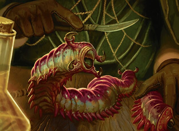 グルランド　森　　サインド 森/Forest》[Guruランド] 土地 | 日本最大級 MTG通販サイト