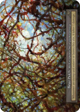 Briar Patch — illustrated by Drew Tucker
