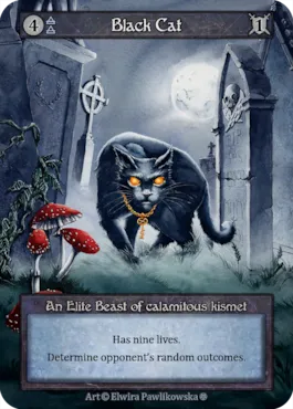 Black Cat — illustrated by Elwira Pawlikowska