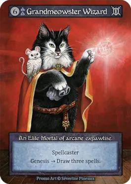 Grandmaster Wizard — illustrated by Séverine Pineaux